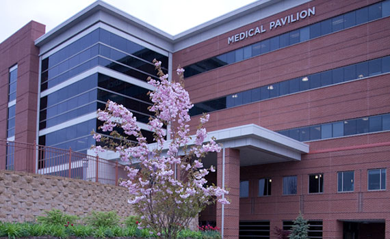 Medical Pavilion